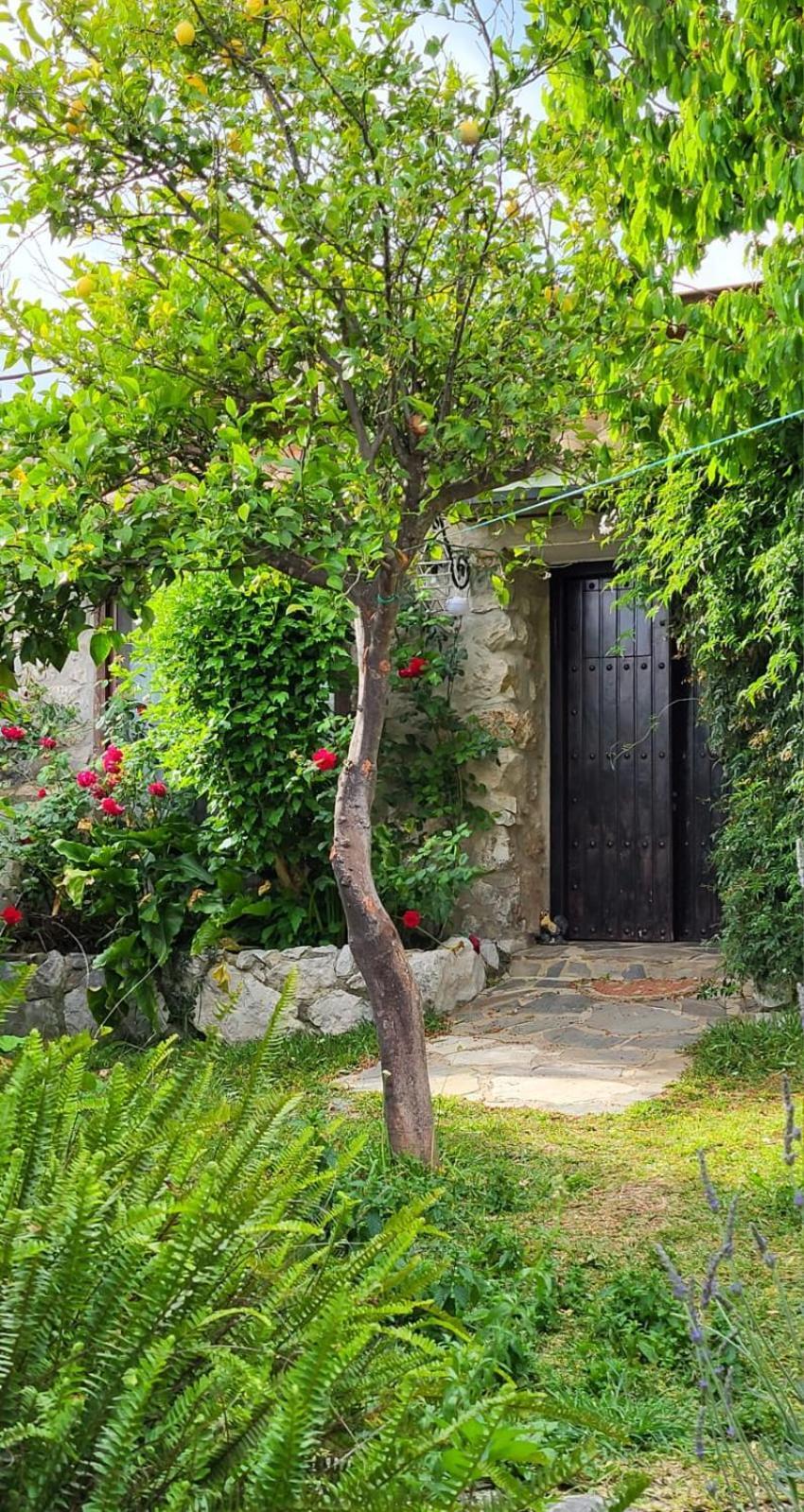 Casa Nani Vila Benaocaz Exterior foto